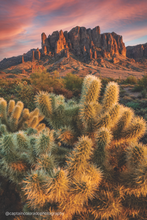 Load image into Gallery viewer, Jamie Rogers Postcard Packs